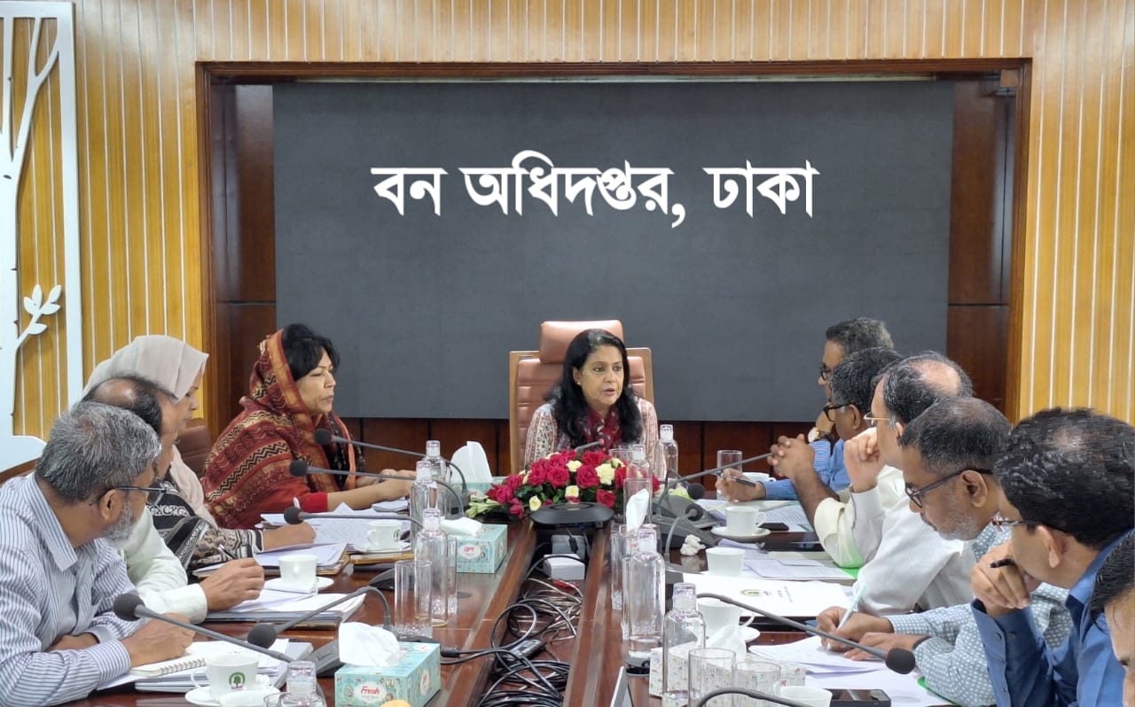 বনভূমি কাভারেজ ২০ শতাংশ উন্নয়নে কর্মপরিকল্পনা গ্রহণ করা হবে: উপদেষ্টা রিজওয়ানা